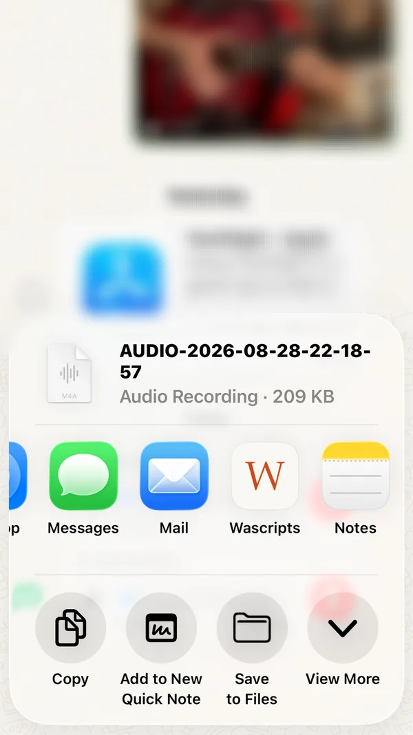 The iPhone share sheet with Wascripts in the row of apps